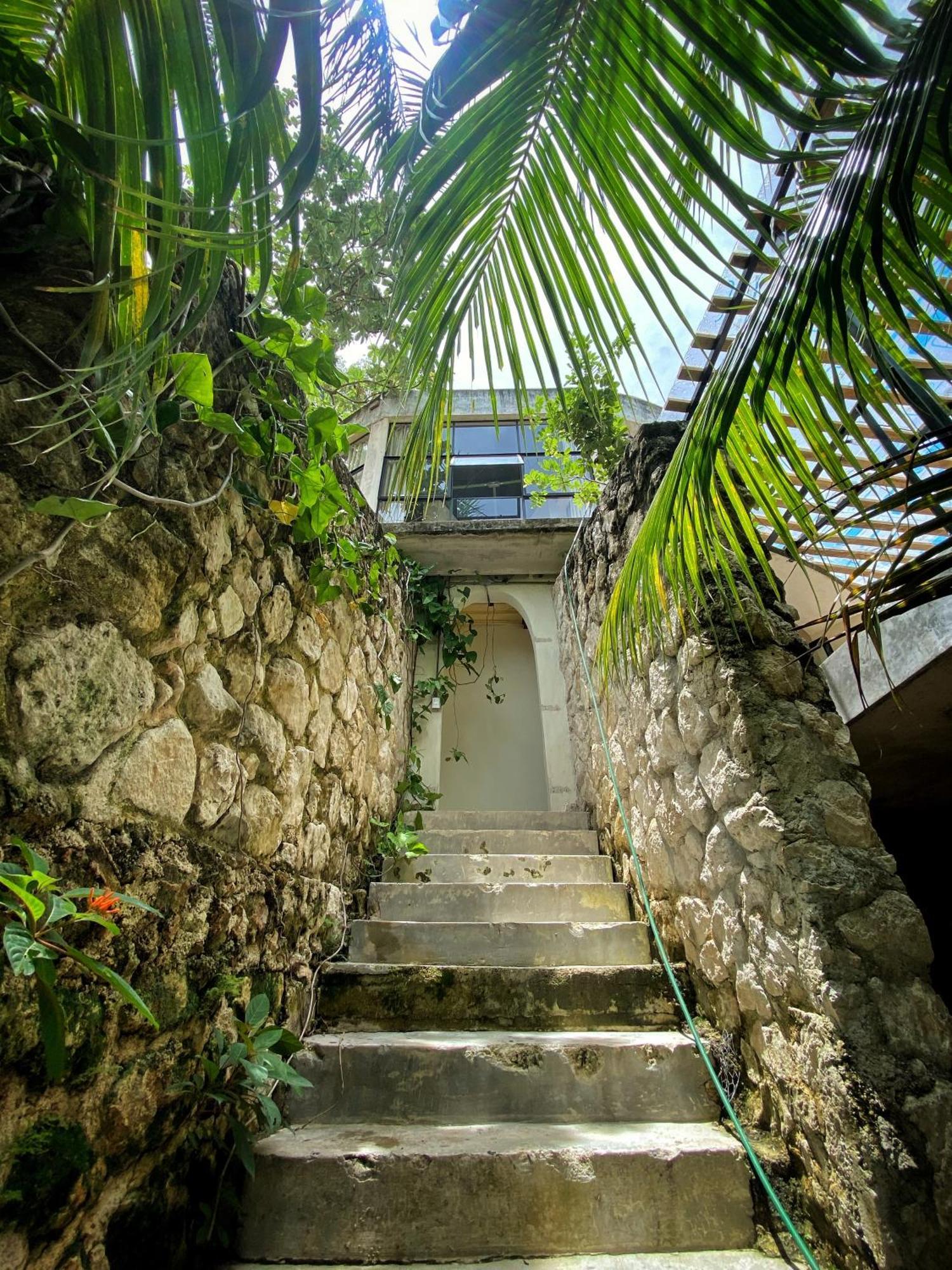 Elmar Hostel Bacalar Eksteriør billede